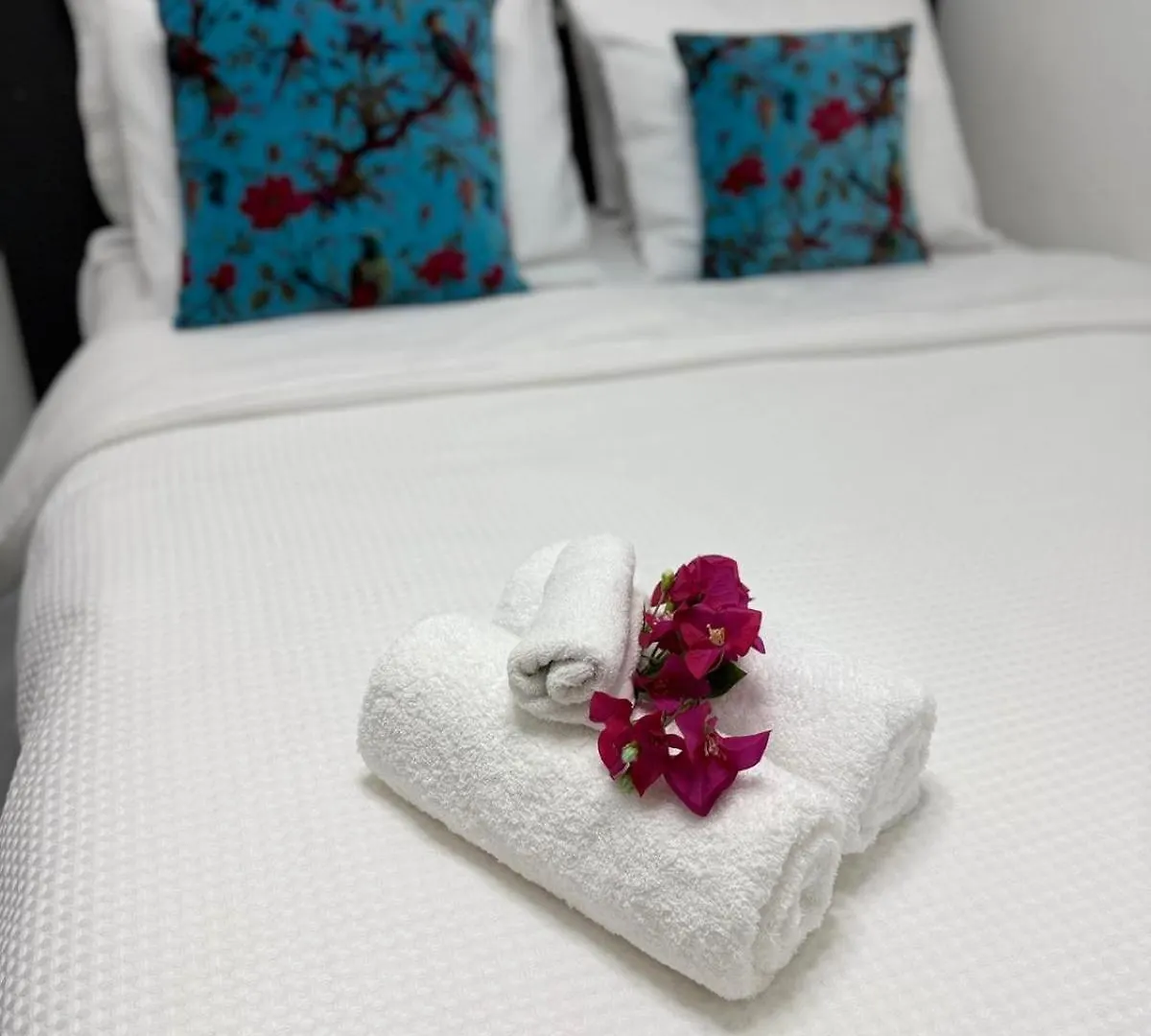 Las Palmeras Apartments Willemstad