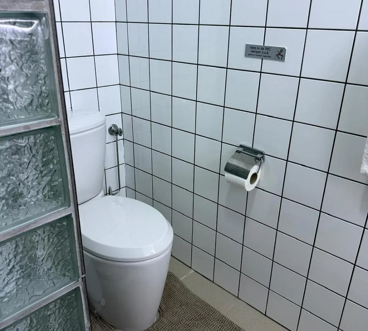 Las Palmeras Apartments Willemstad
